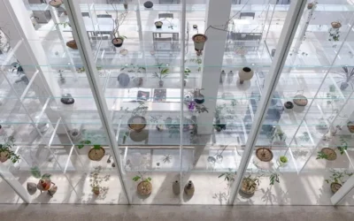 Los cafés de invernadero están de moda en Seúl